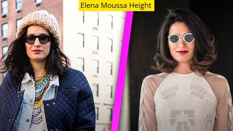 Elena Moussa Height